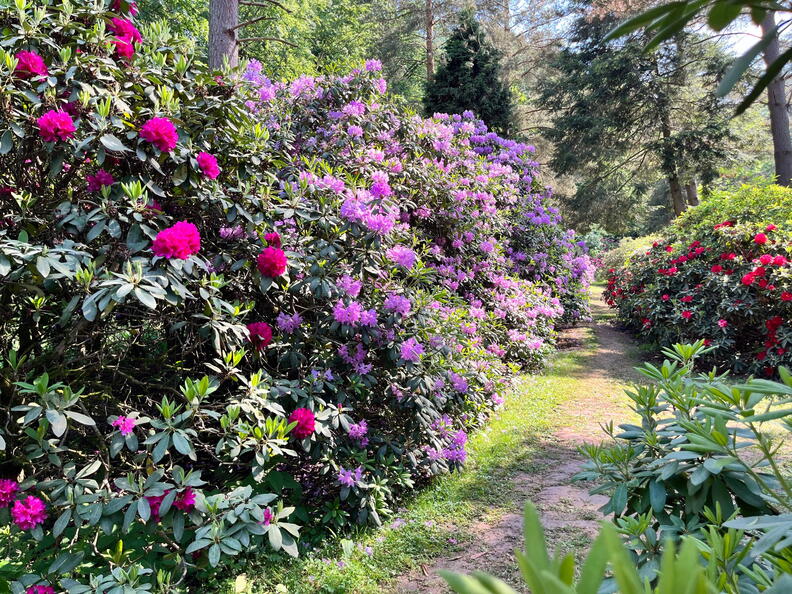 23-06-03 16-47-55 5799